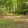 RV Park for Sale: Cross Rip Nature Preserve & Campground, Deltaville, VA