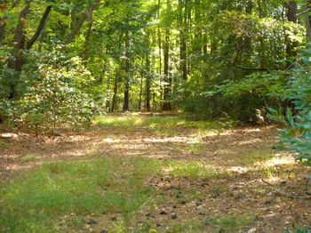 HIKING TRAILS & WILDLIFE