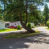Mobile Home Park: Anglers Pointe, Graham, WA