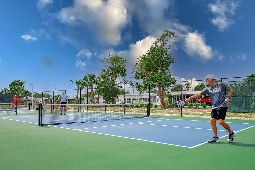 Bonita Terra 2022 Web 84