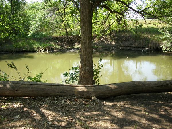 Photo of Rv Park