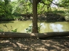 Photo of Rv Park
