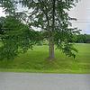Mobile Home for Sale: 3 Bed 2 Bath 2003 Mobile Home