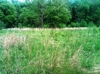 nc-morganton-29e.jpg