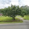 Mobile Home for Sale: 3 Bed 2 Bath 2003 Mobile Home