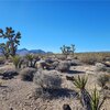 Photo of Mobile Home Lot