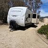 RV for Sale: 2019 COUGAR HALF-TON 29BHSWE