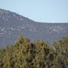 Photo of Mobile Home Lot