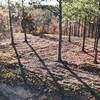 RV Lot for Sale: Lot 142, The Woodlands at Buffalo River 5 acres, Linden, TN