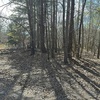 Mobile Home for Sale: 1991 Mobile Home