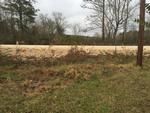 Photo of Mobile Home Lot