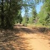 Photo of Mobile Home Lot
