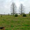 Mobile Home for Sale: 2001 Mobile Home