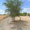 Mobile Home for Sale: 3 Bed 2 Bath 1978 Mobile Home