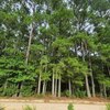Photo of Mobile Home Lot