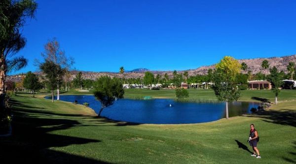Executive Golf Course