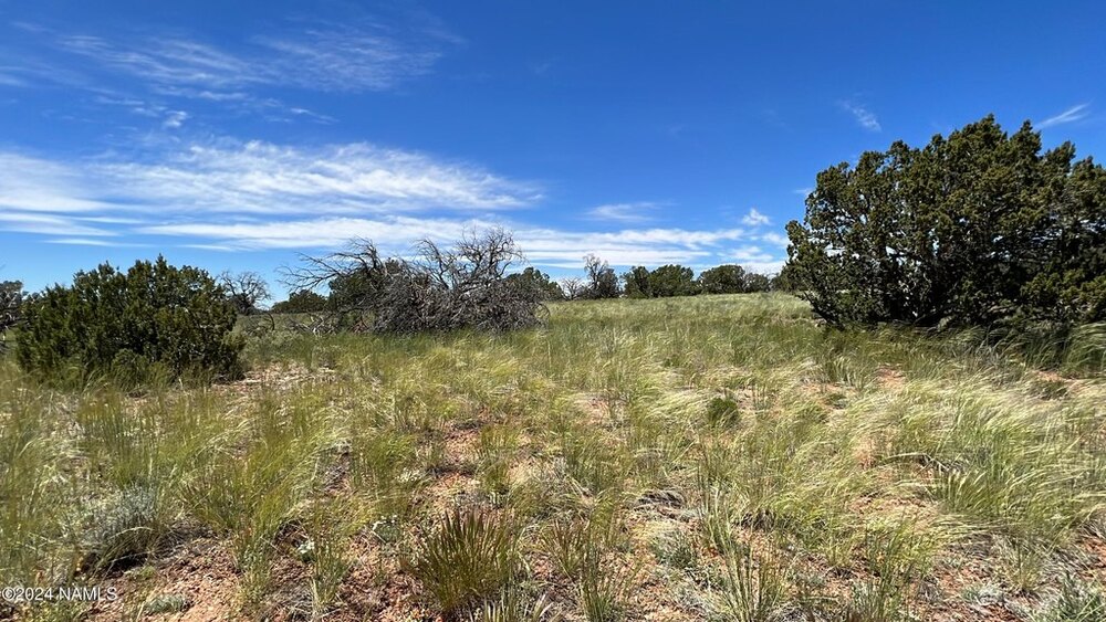 Photo of Mobile Home Lot