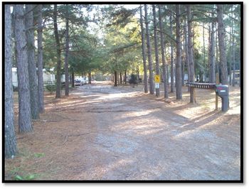 Photo of Mobile Home Park