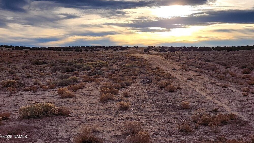 Photo of Mobile Home Lot