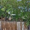 Mobile Home for Sale: 2017 Mobile Home
