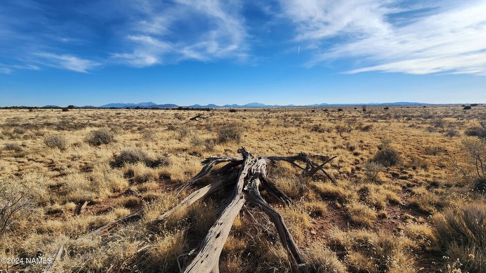 Photo of Mobile Home Lot