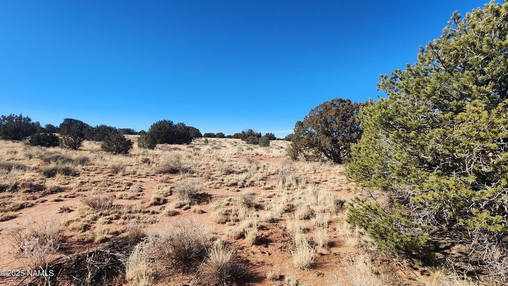 Photo of Mobile Home Lot