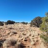 Photo of Mobile Home Lot