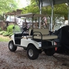 Gas Golf Cart
