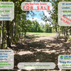 RV Lot for Sale: Lot 168 – 8.3 Acres of Prime Hardwood Forest on Private Road – Priced to Sell!, Linden, TN