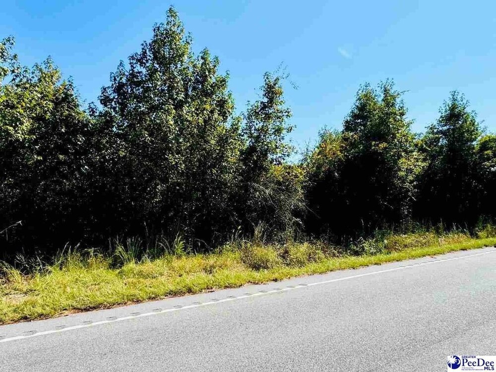 Photo of Mobile Home Lot