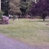 RV Lot for Rent: Long Term RV Space at Silverbrook RV Park - Close to-Fishing-Hiking-Skiing-Country Living, Randle, WA