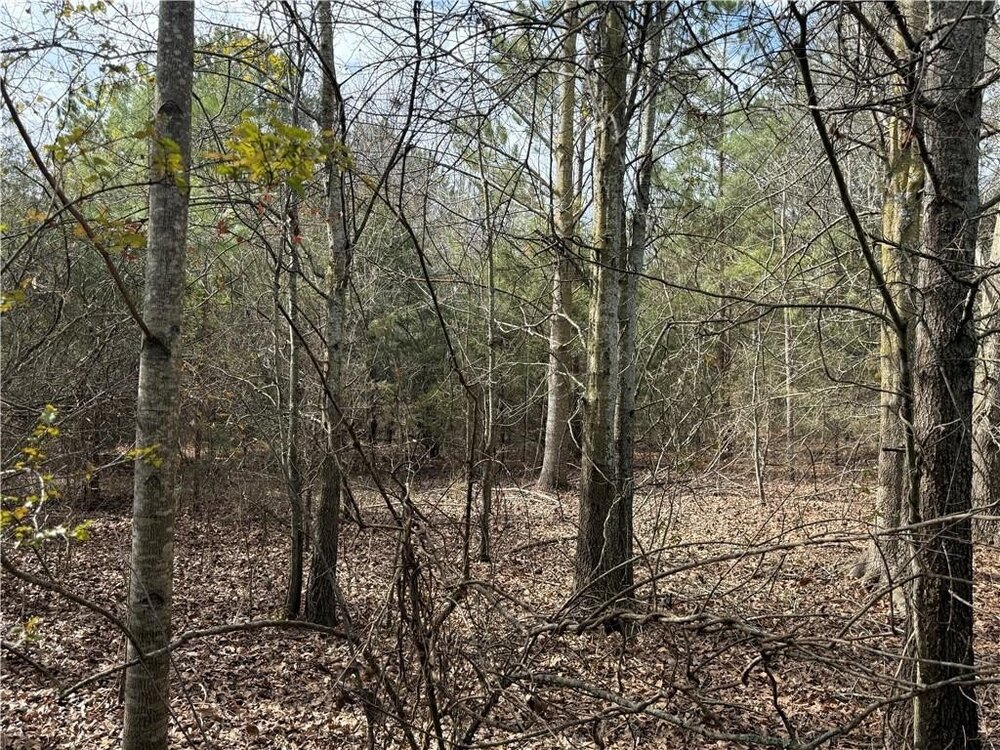Photo of Mobile Home Lot