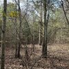 Photo of Mobile Home Lot