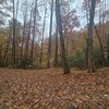 Mobile Home Lot for Sale: Subdevelopment,Land,Mobile Home Park,Residential - Sylva, NC, Sylva, NC