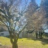 Mobile Home for Sale: Double Wide Manufactured - Manufactured Home on Real Property, Seaside, OR