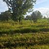 Mobile Home for Sale: 1998 Mobile Home