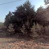 Mobile Home for Sale: 2 Bed 1 Bath 1997 Mobile Home