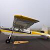 Aircraft for Sale: Cessna 180 Skywagon