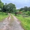 Mobile Home for Sale: 1976 Mobile Home