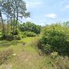 Mobile Home for Sale: 4 Bed 2 Bath 2022 Mobile Home