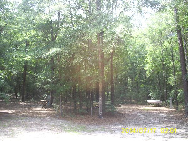 2 Sites, Park is Designed Keeping Nature as a Buffer