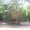 2 Sites, Park is Designed Keeping Nature as a Buffer