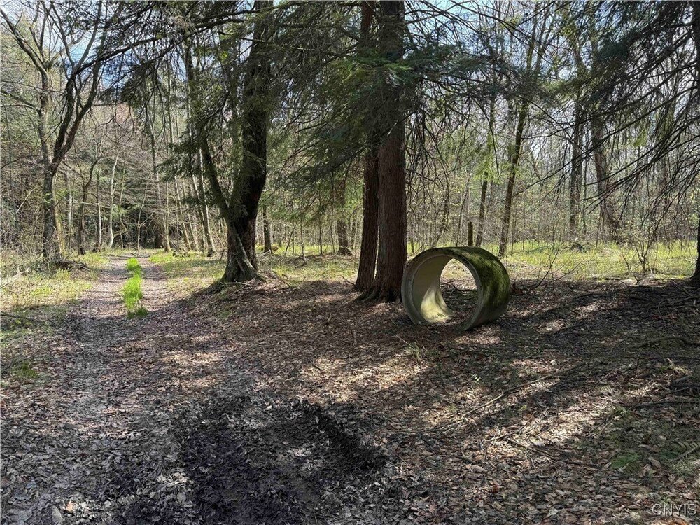 Photo of Mobile Home Lot
