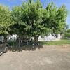 Mobile Home for Sale: 3 Bed 2 Bath 2007 Mobile Home