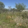 Mobile Home for Sale: Other - See Remarks, Mobile Home - Granby, MO, Granby, MO