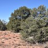 Photo of Mobile Home Lot