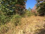 Photo of Mobile Home Lot