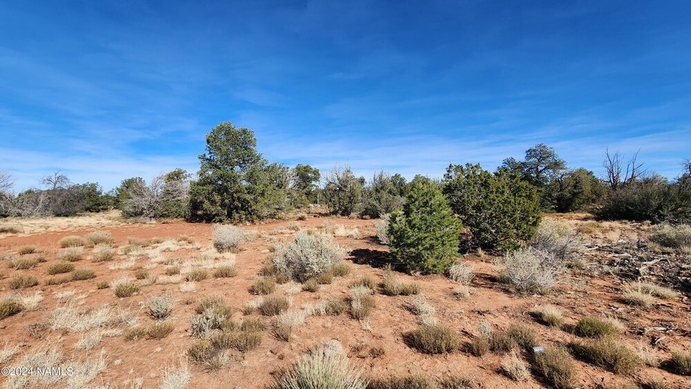 Photo of Mobile Home Lot