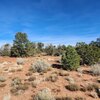 Photo of Mobile Home Lot