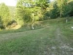 Photo of Mobile Home Lot
